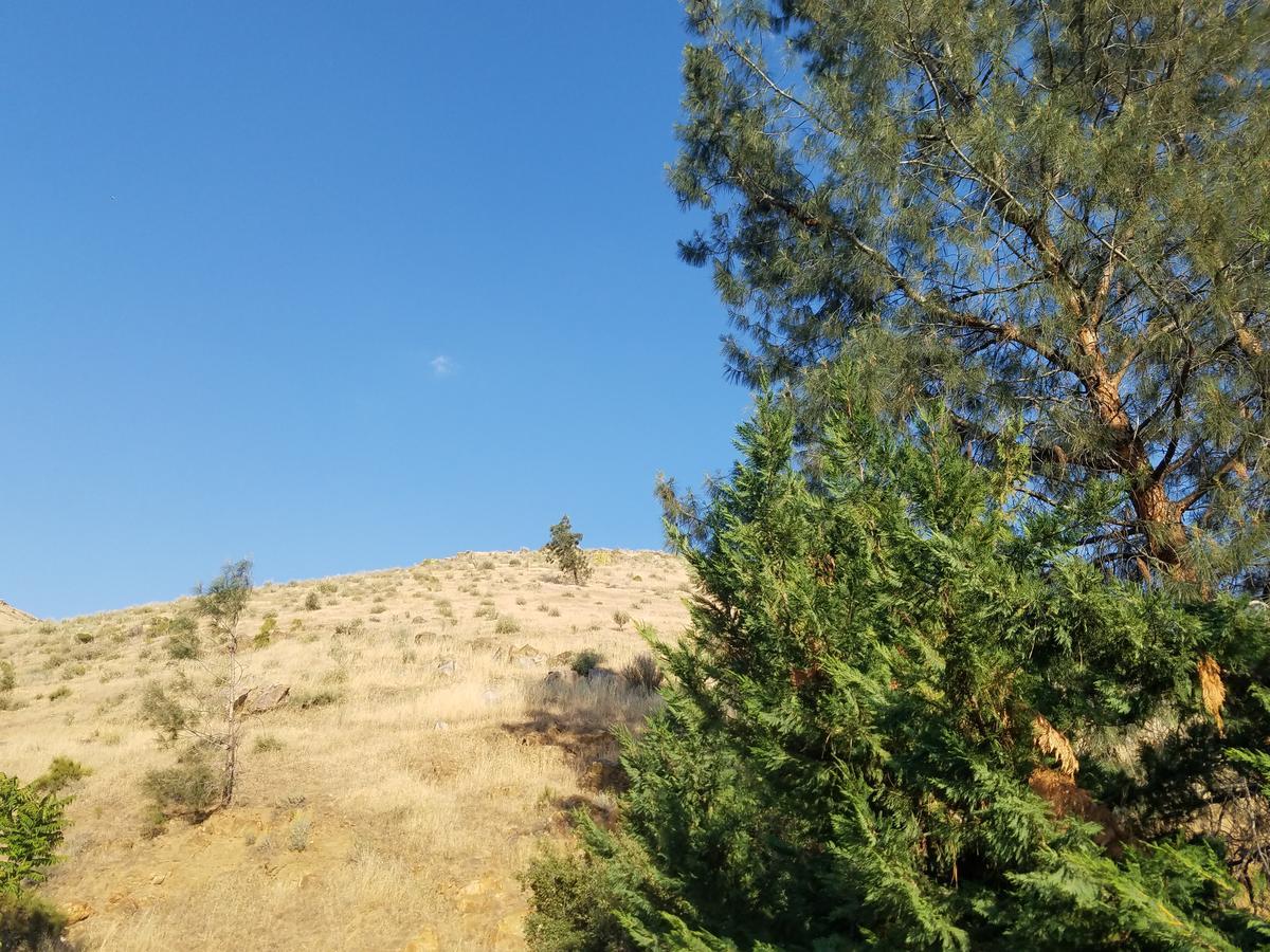 Sacred Mtn River Suites Kernville Exteriör bild